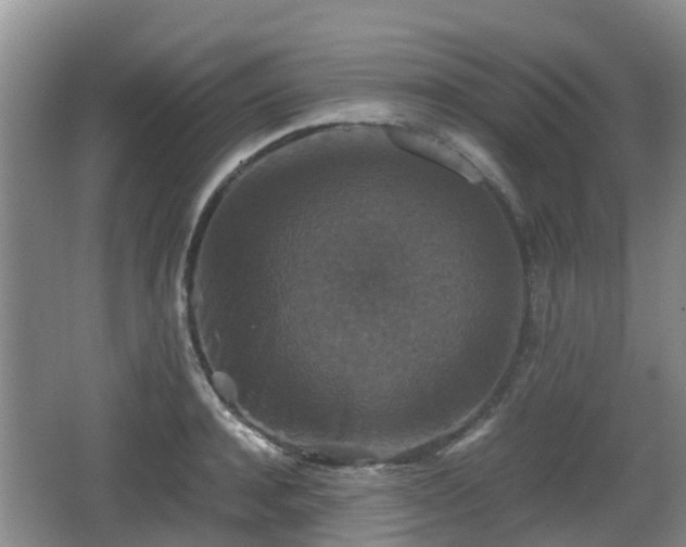 X0000067890944200604171333