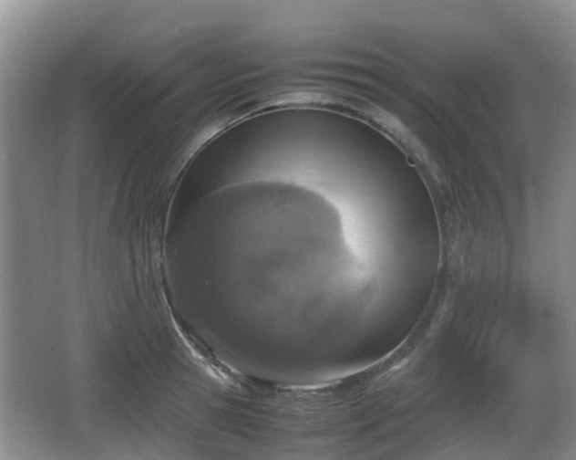 X0000067890945200604171333