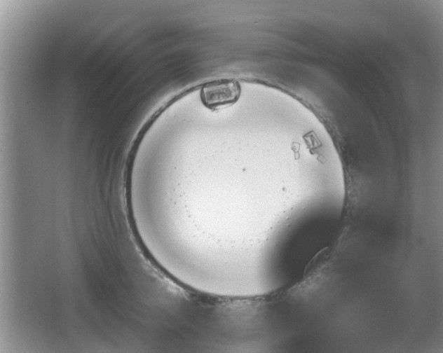 X0000067890950200604171334