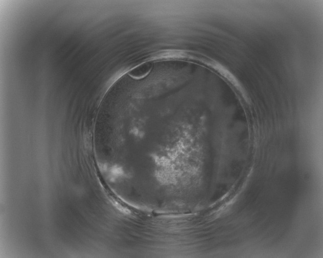 X0000067890953200604171334