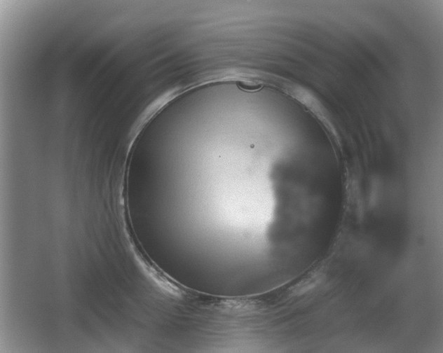 X0000067890954200604171334