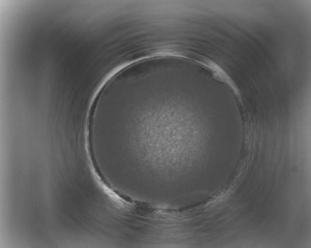 X0000067890955200604171334