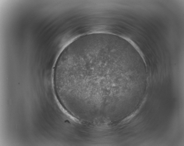 X0000067890957200604171334