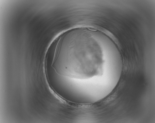 X0000067890958200604171334