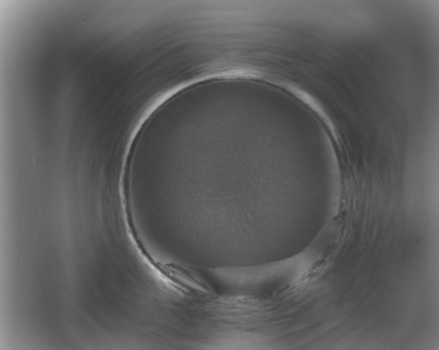 X0000067890959200604171334