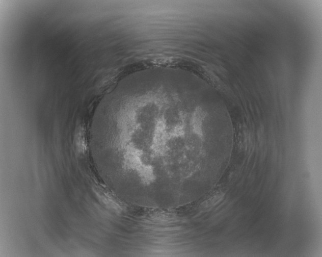 X0000067890962200604171333