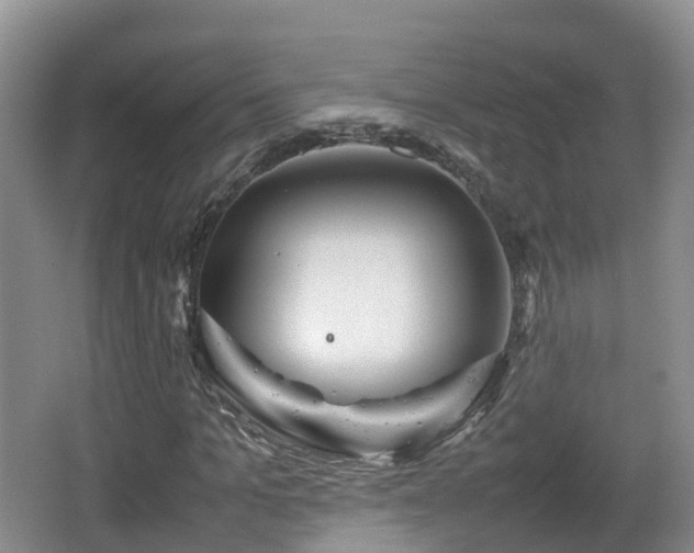 X0000067890965200604171333