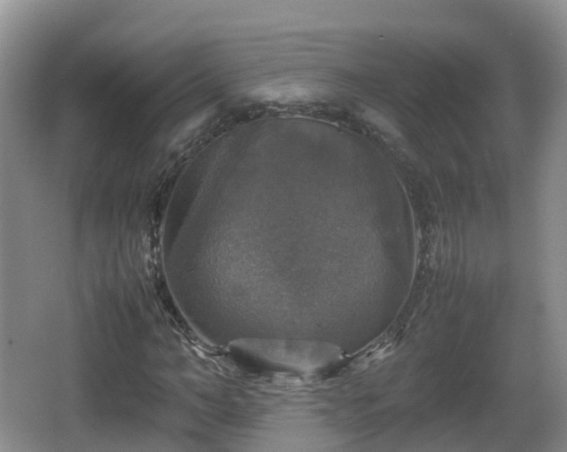 X0000067890966200604171333