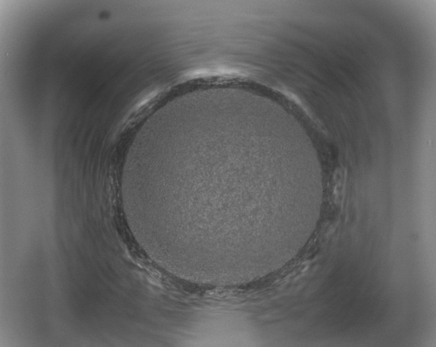 X0000067890967200604171333