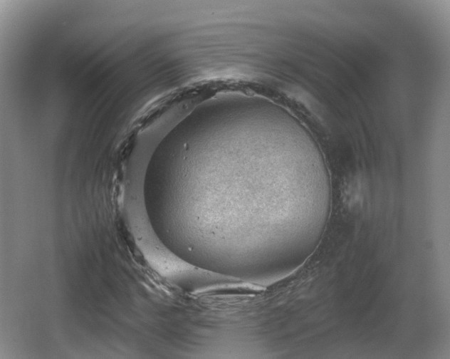 X0000067890968200604171333