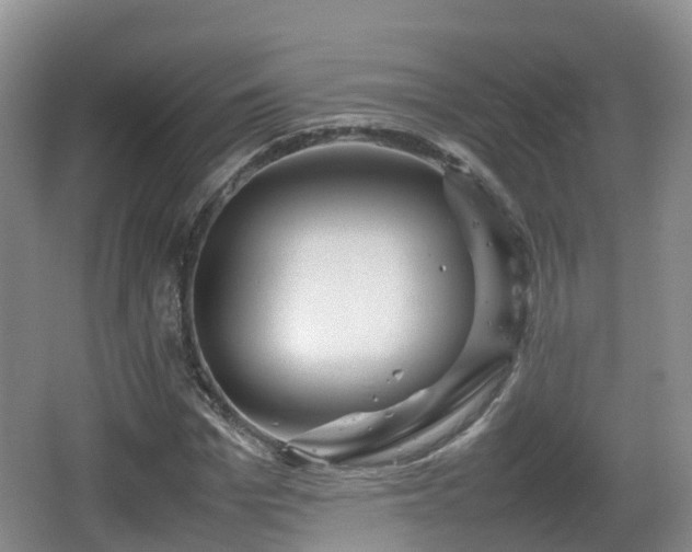 X0000067890969200604171333