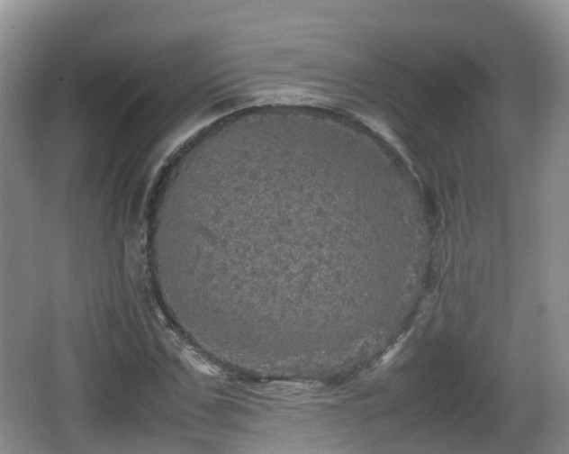 X0000067890971200604171333