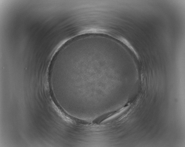 X0000067890972200604171333