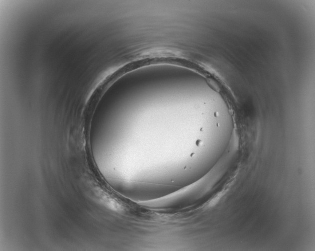 X0000067890973200604171333