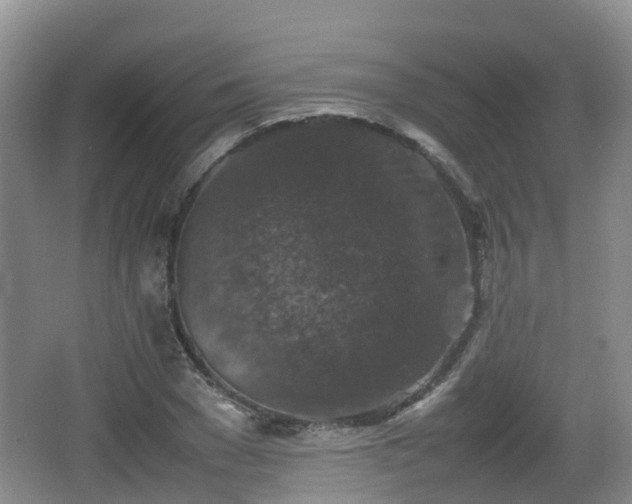 X0000067890977200604171333