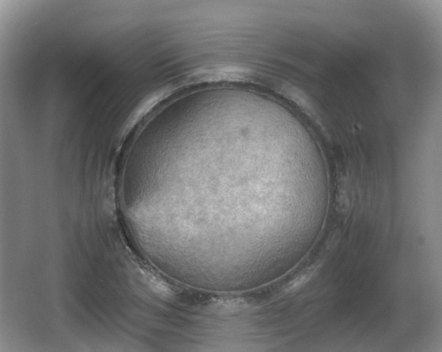 X0000067890978200604171333