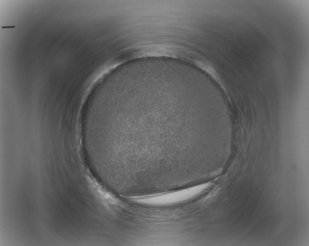 X0000067890979200604171333