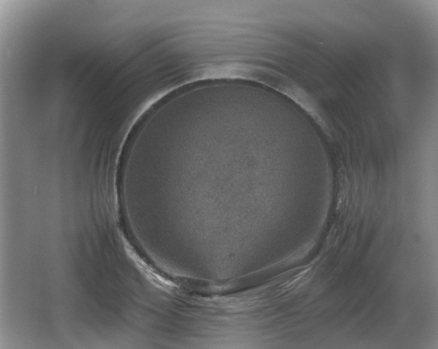 X0000067890980200604171333