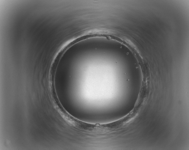 X0000067890981200604171333