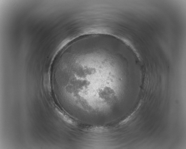 X0000067890982200604171333