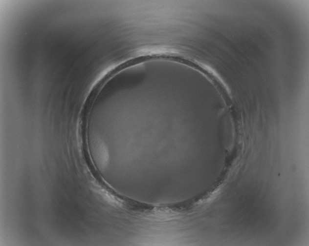 X0000067890983200604171332