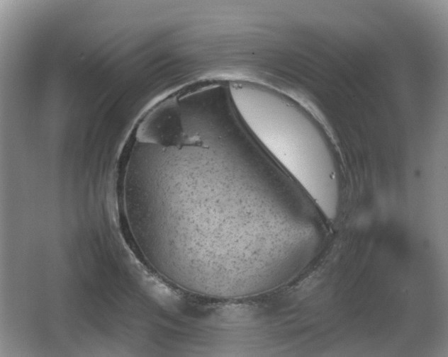 X0000067890984200604171332