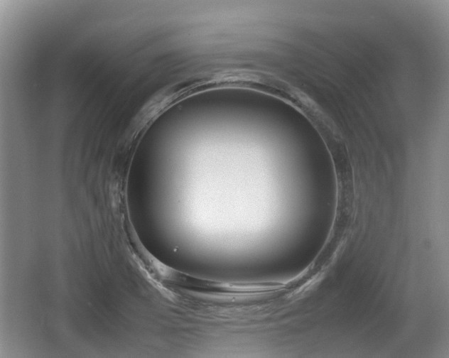 X0000067890985200604171332