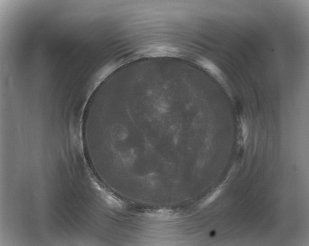 X0000067890986200604171332