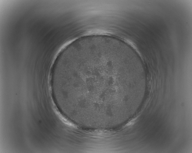 X0000067890987200604171332