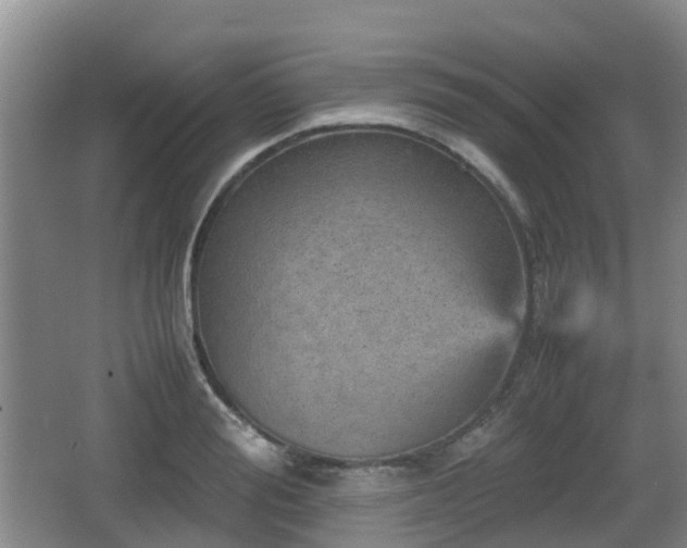 X0000067890988200604171332