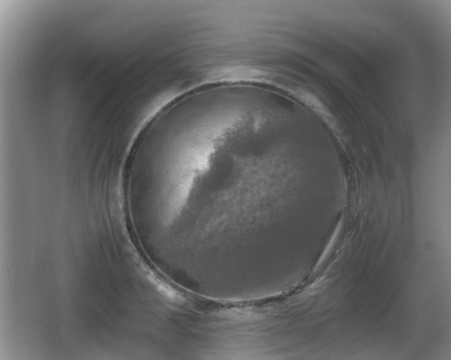 X0000067890990200604171332