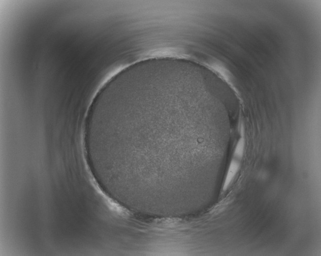 X0000067890991200604171332