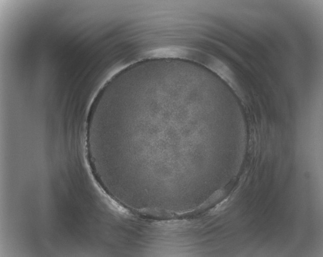 X0000067890992200604171332