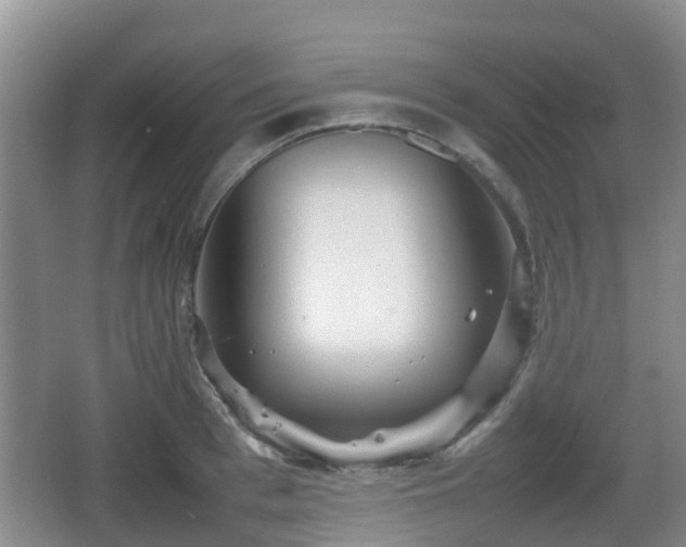 X0000067890993200604171332