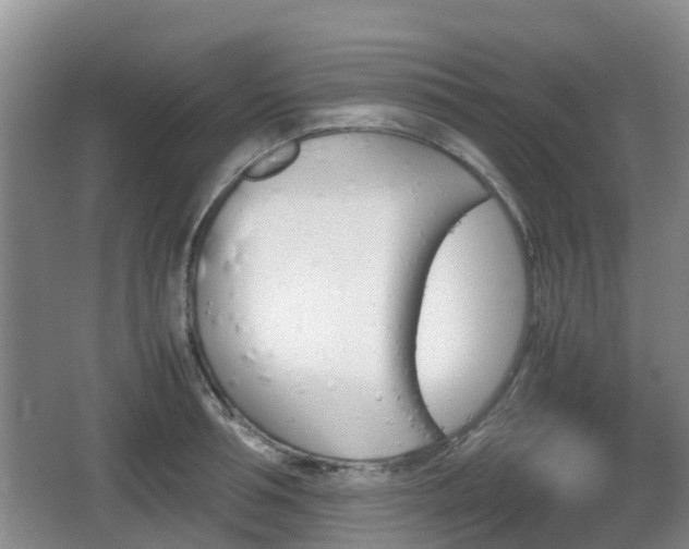 X0000067890994200604171332