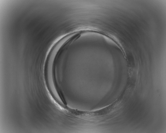 X0000067890995200604171332