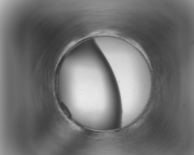 X0000067890997200604171332