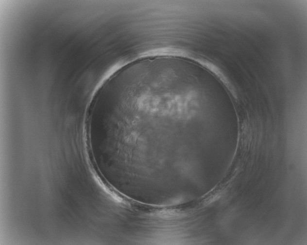 X0000067890998200604171332