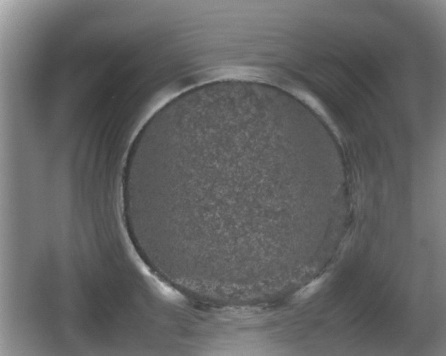 X0000067890999200604171332