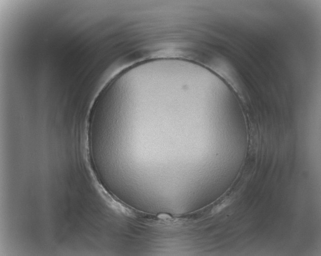 X0000067891000200604171332