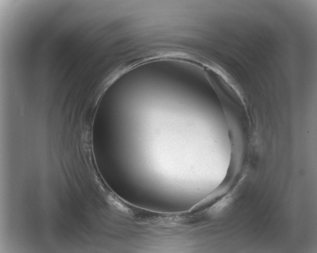 X0000067891001200604171332