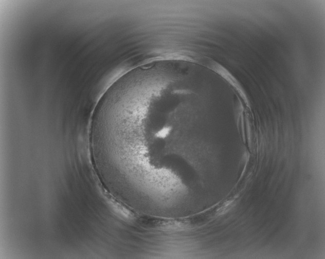 X0000067891002200604171332