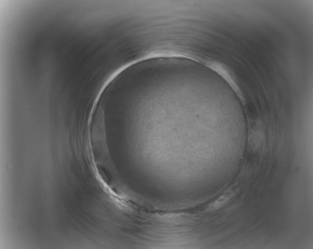 X0000067891004200604171332