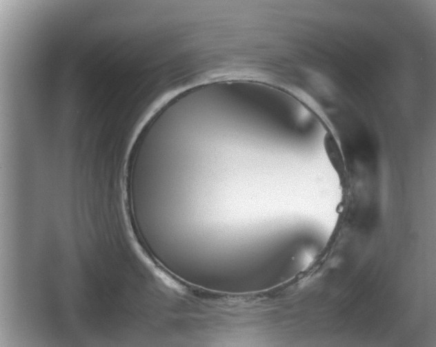 X0000067891005200604171332