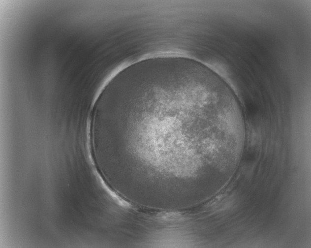 X0000067891006200604171332