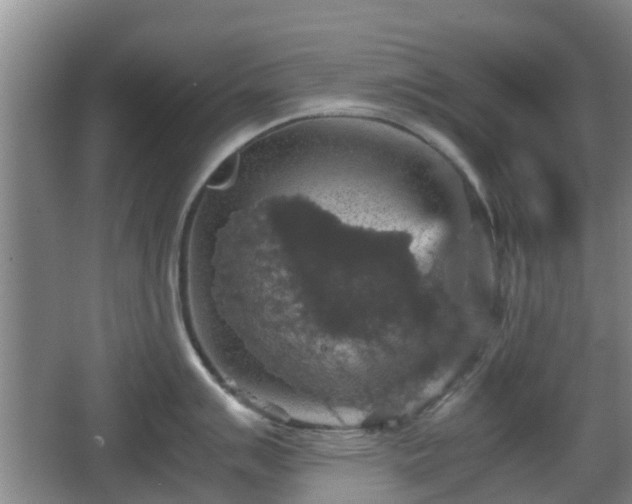 X0000067891007200604171332