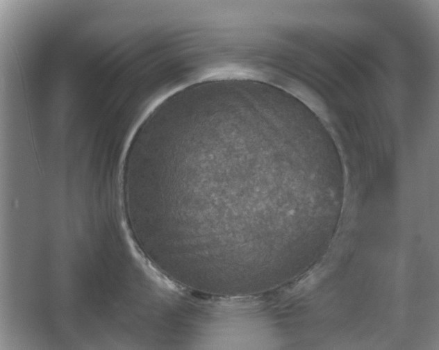 X0000067891008200604171332