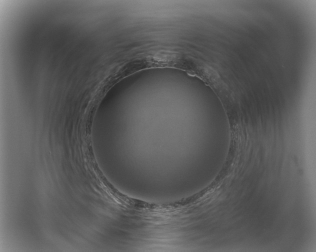 X0000067891009200604171331