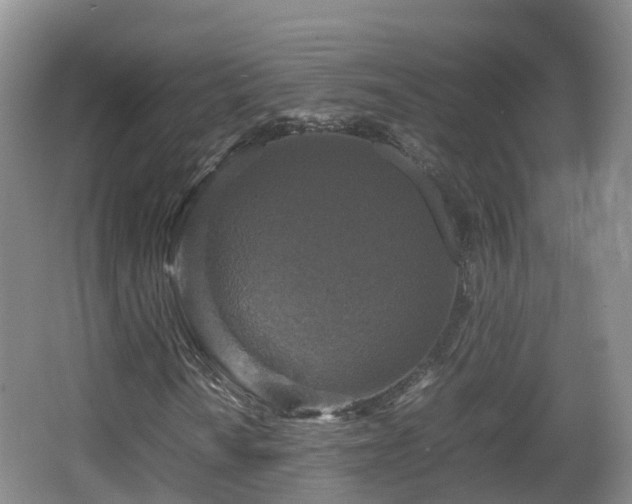 X0000067891010200604171331