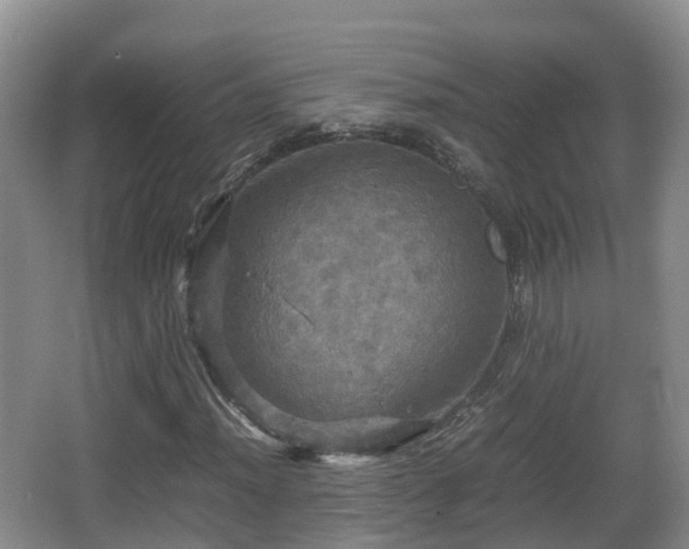 X0000067891012200604171331